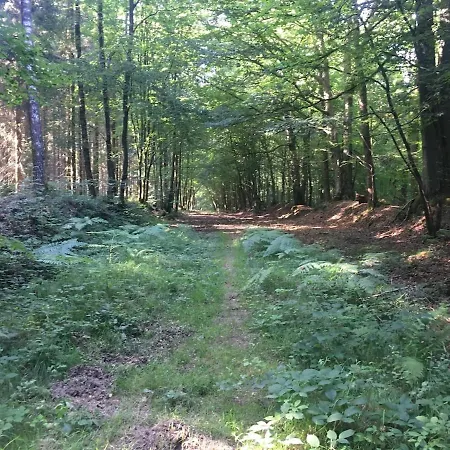 Entierement Renove En Pleine Nature *